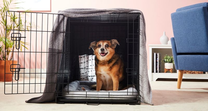 Try A Crate With A Cover