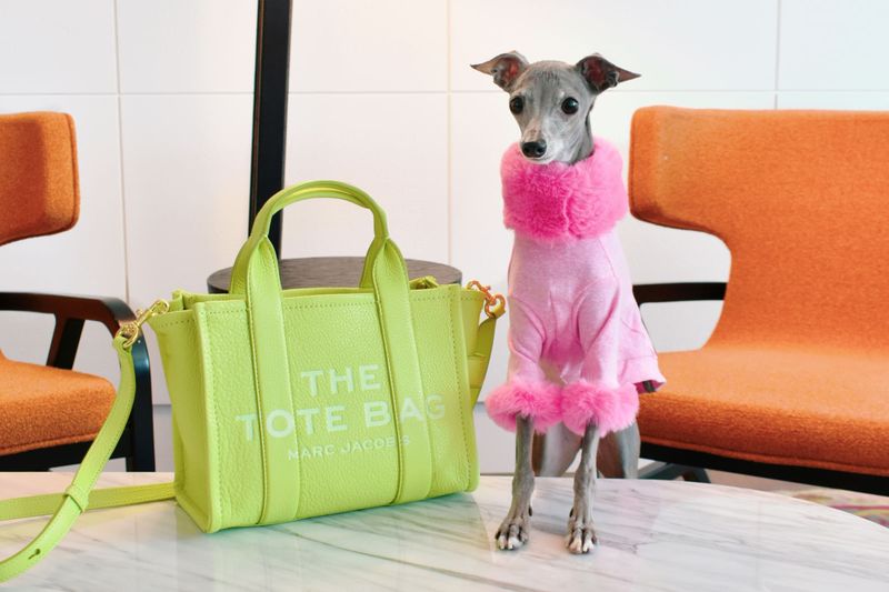 Designer Dog Apparel