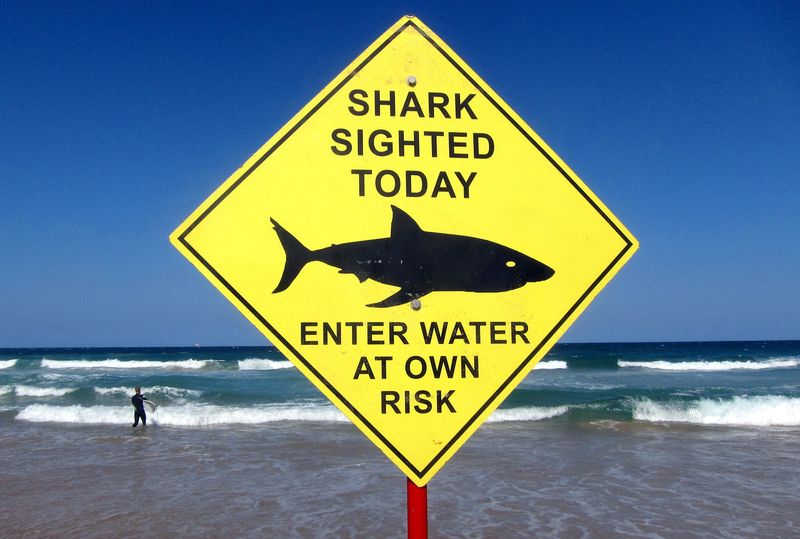 Respect Shark Warnings And Signs