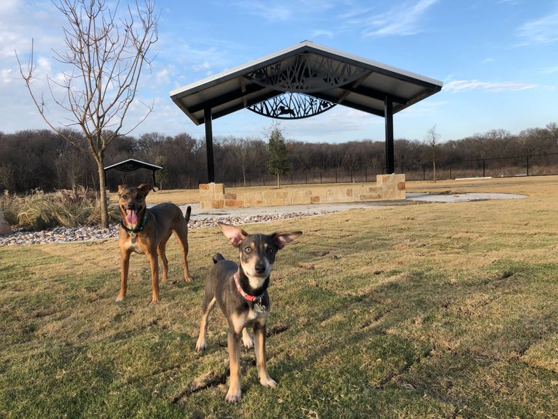 Srinath's Private Dog Park In Little Elm – Oak Point, TX