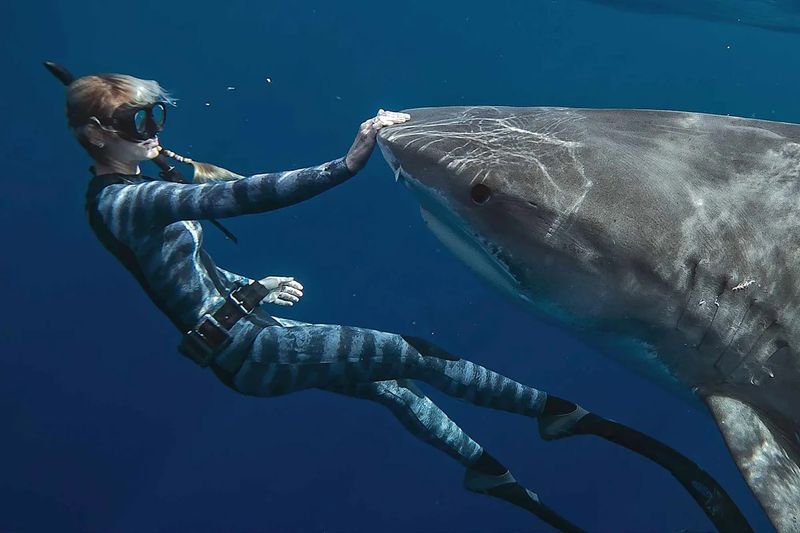 Ocean Ramsey's Unique Connection With Sharks