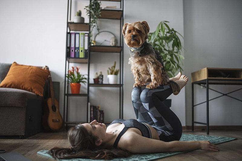 Innovative Wellness Trends
