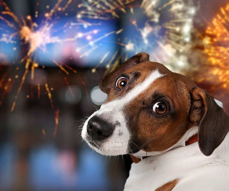 The Dangers Of Fireworks