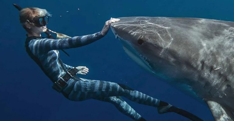 Why Ocean Ramsey Isn’t Afraid Of Sharks And Why You Shouldn’t Be Either