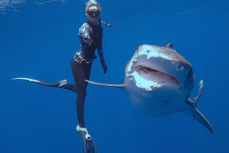 How Ocean Ramsey Works With Sharks To Protect Them