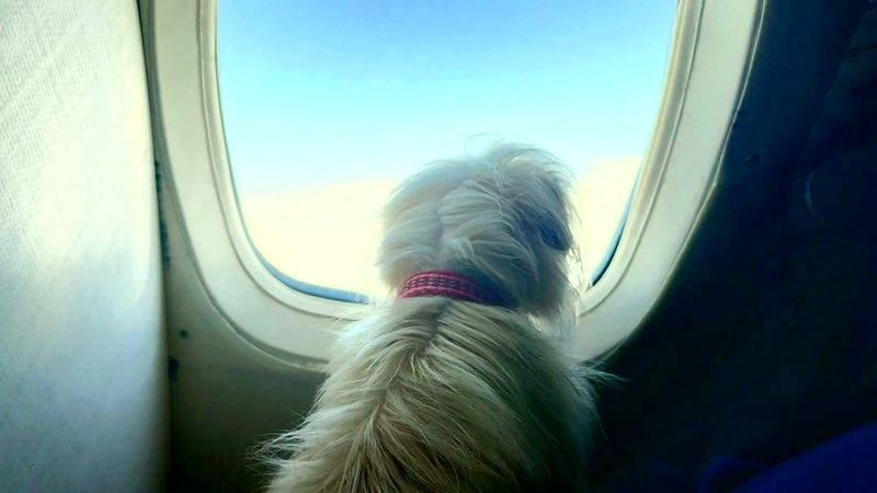 Every Goodbye Leads To A Happy Beginning