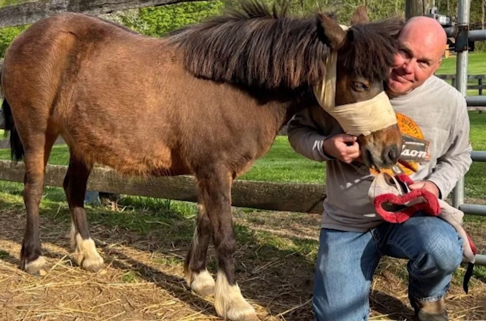 bald man and pony