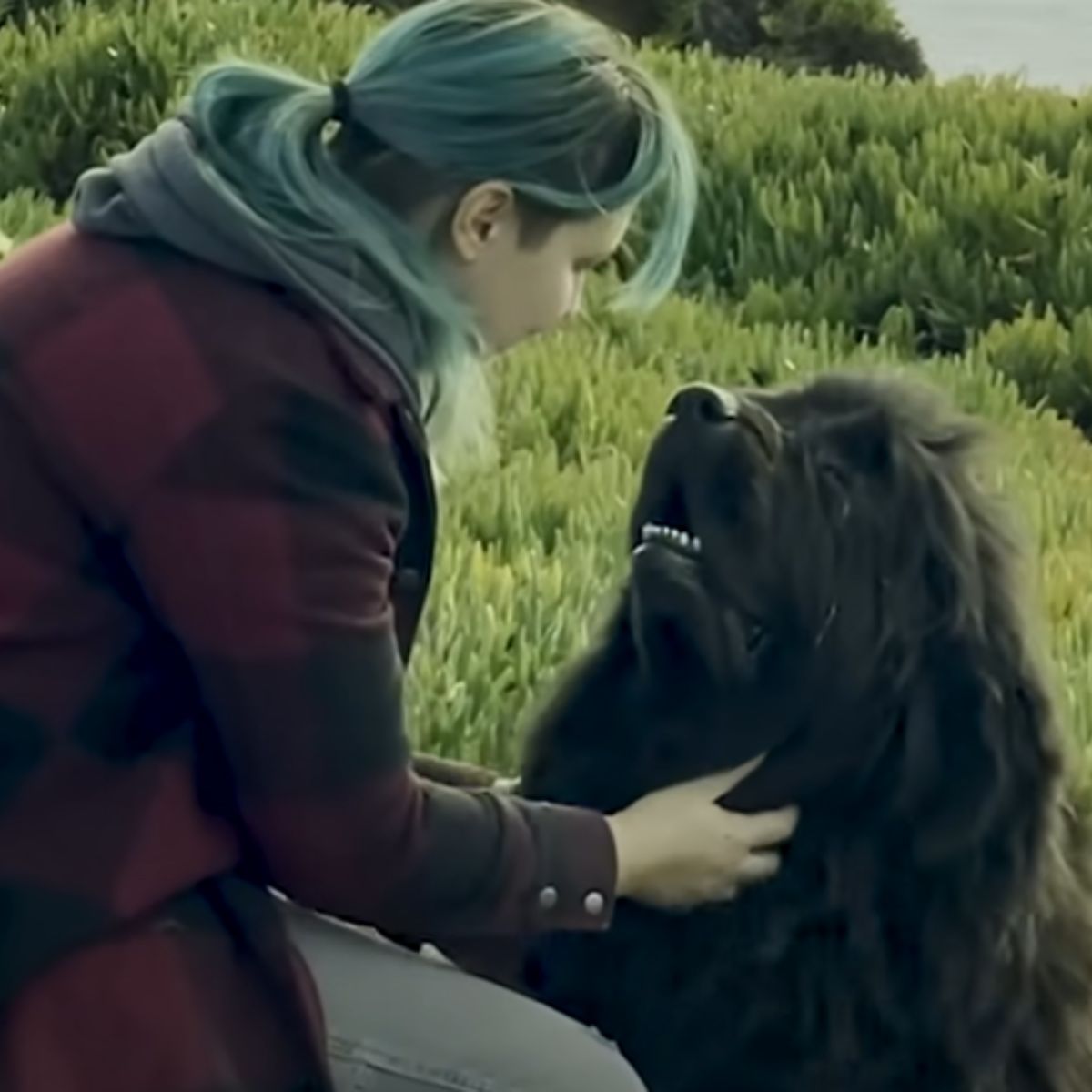 big dog and woman