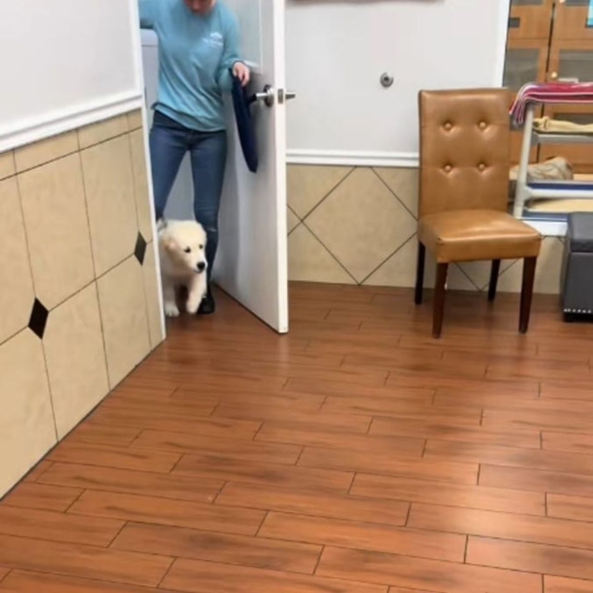 big white dog