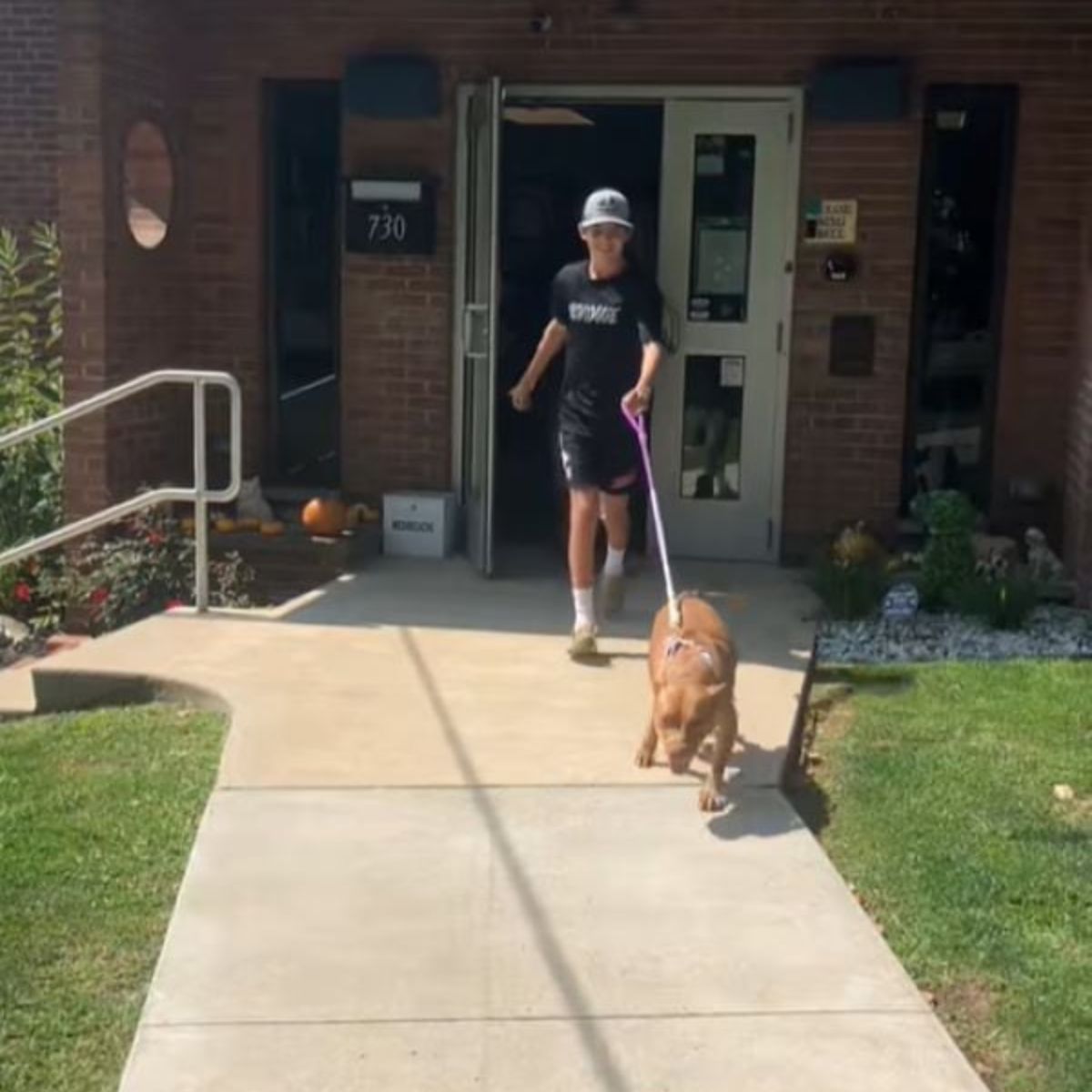 boy and a dog on a leash