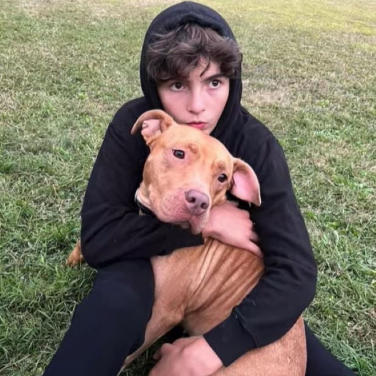 boy hugging the dog