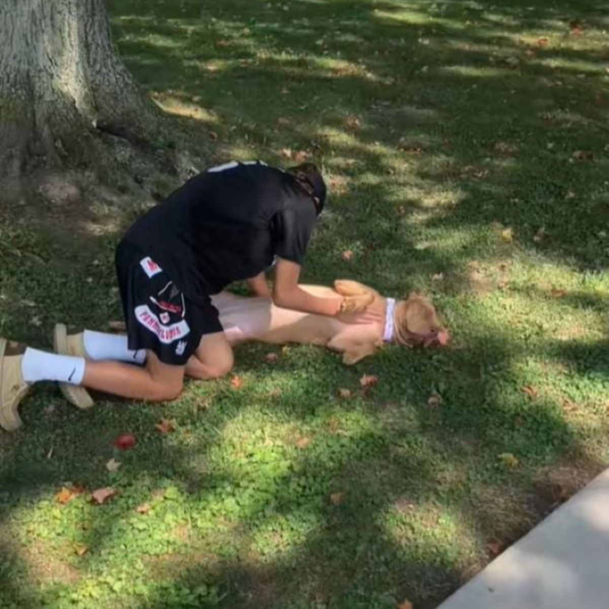 boy playing with dog