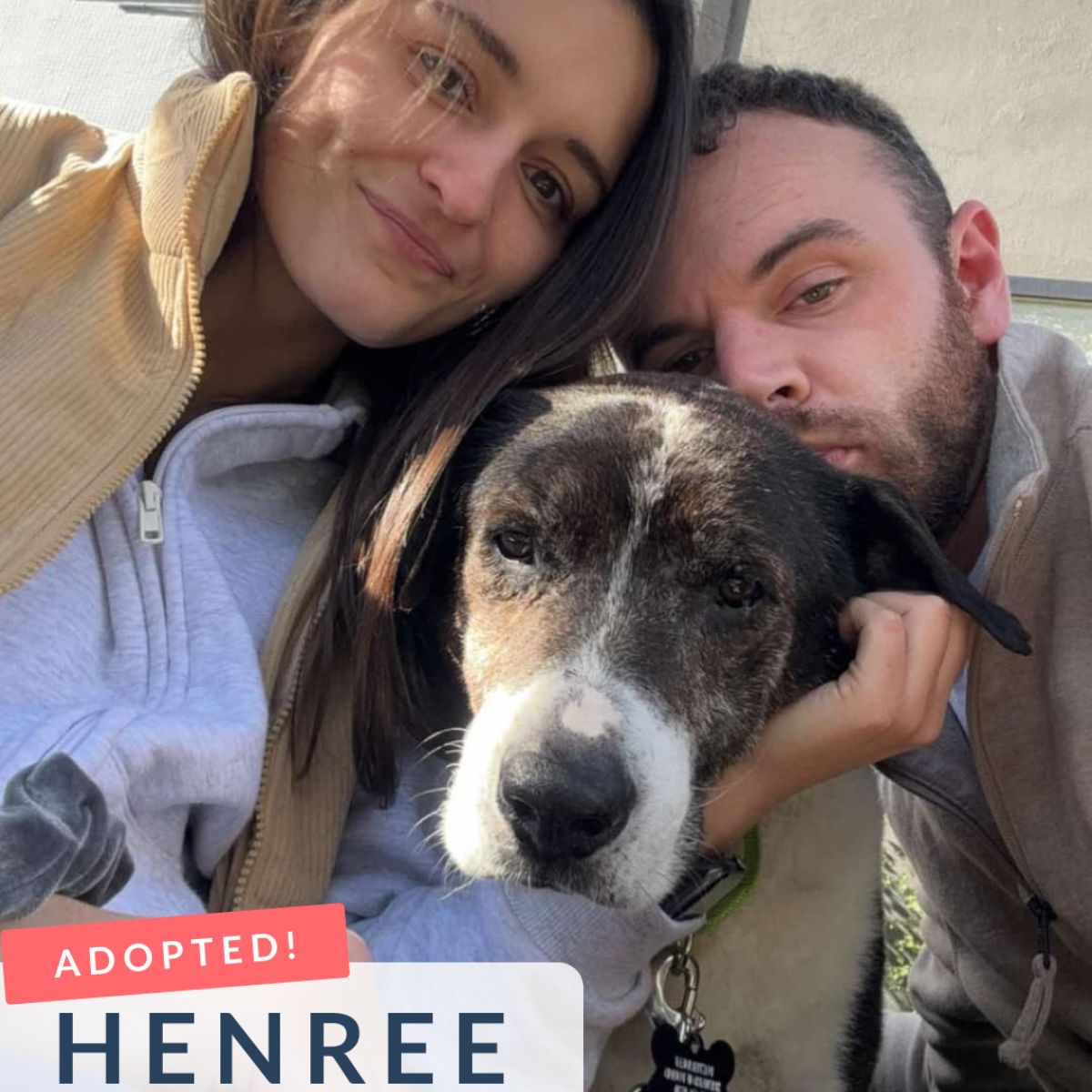 couple and dog