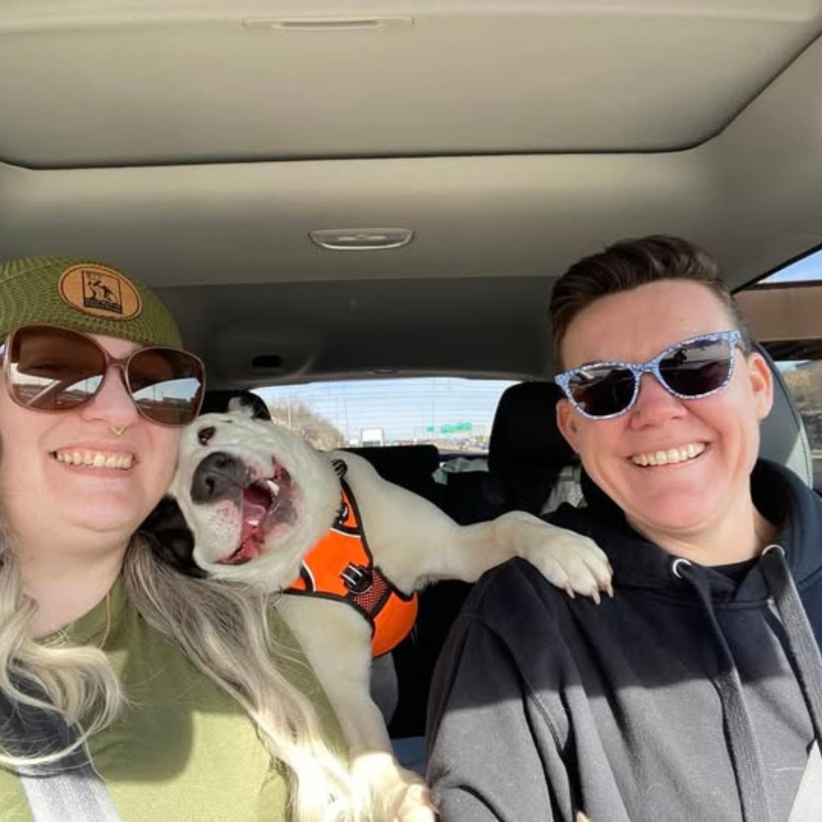 couple and dog
