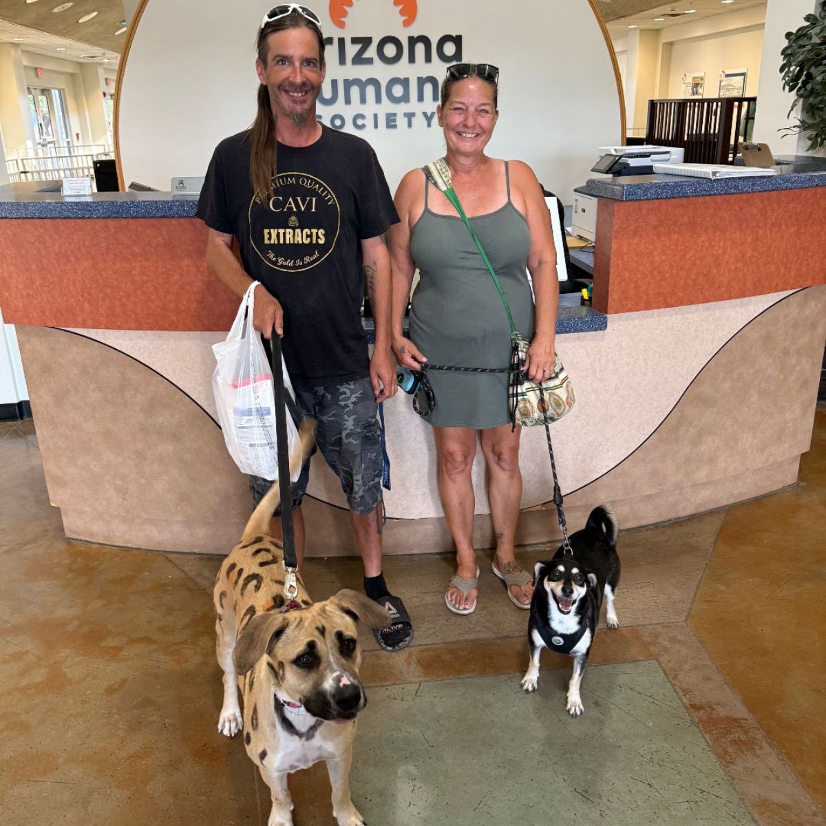 couple and dogs