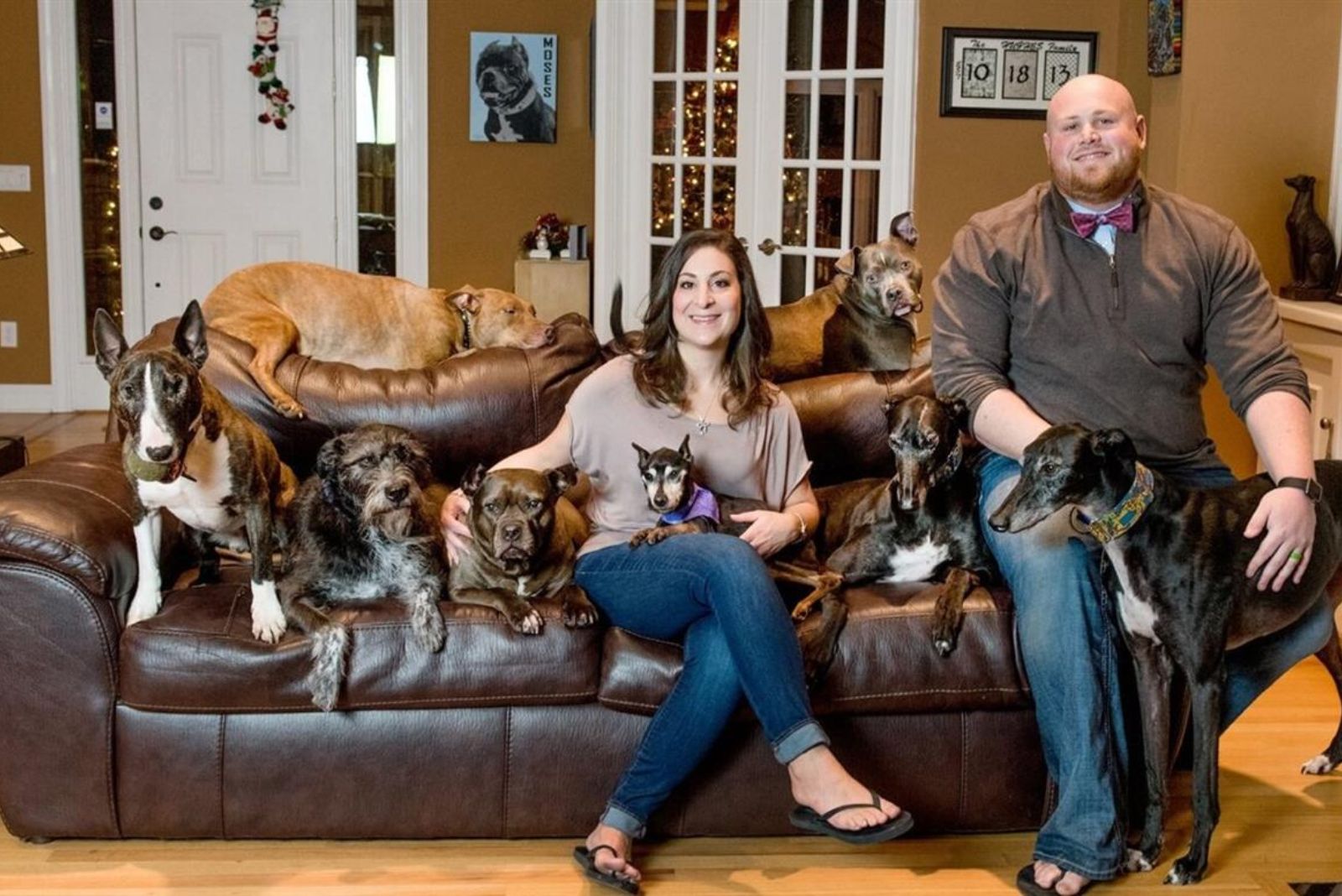 couple and dogs on couch