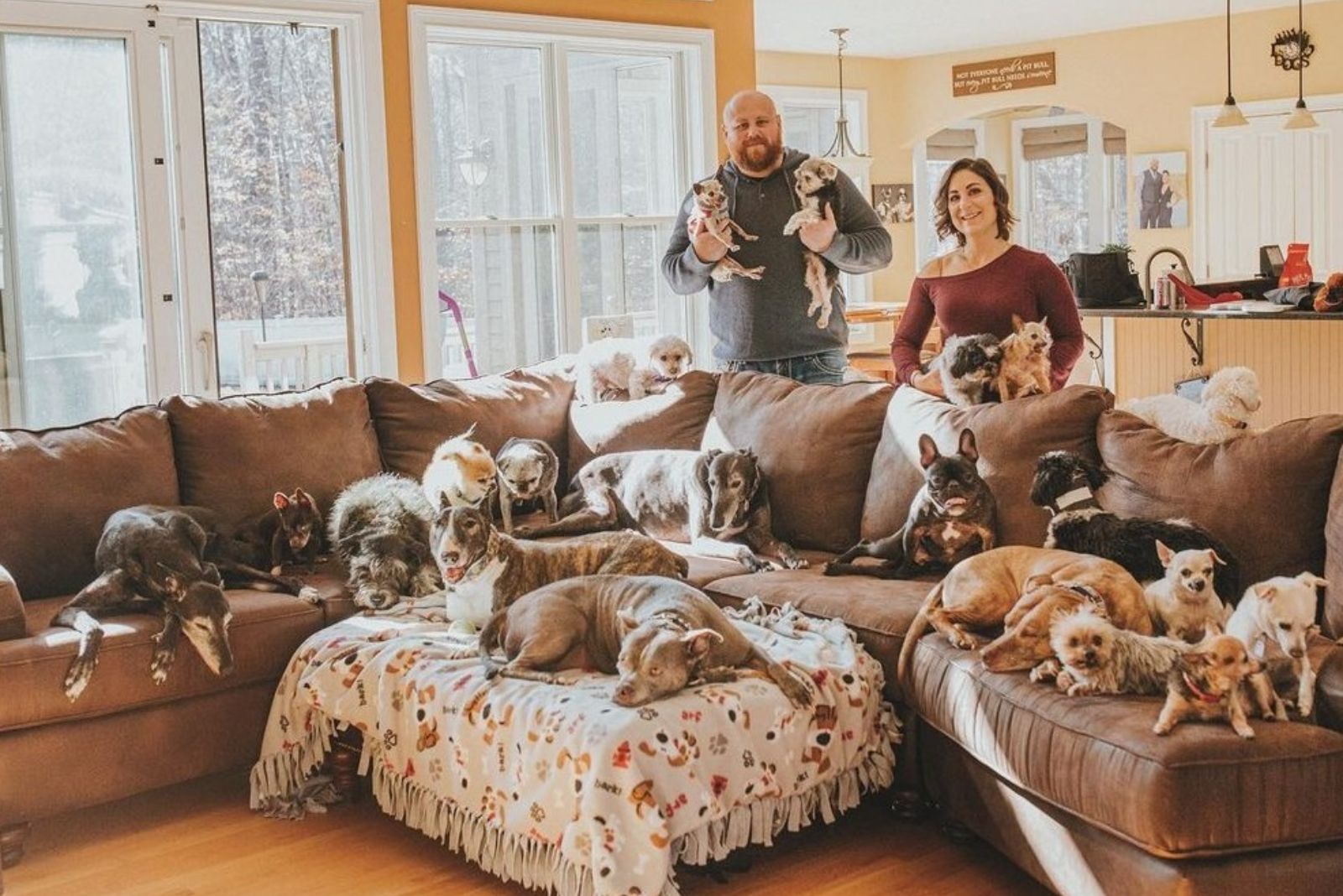 couple and dogs