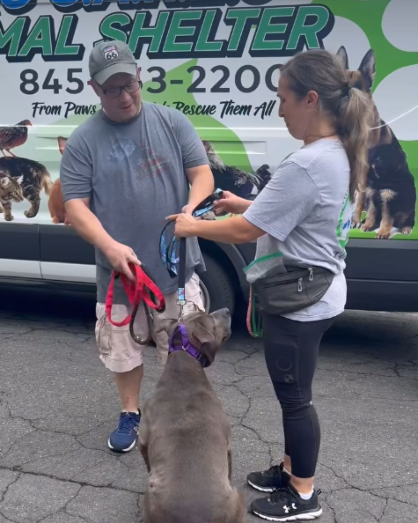 couple and sweet dog