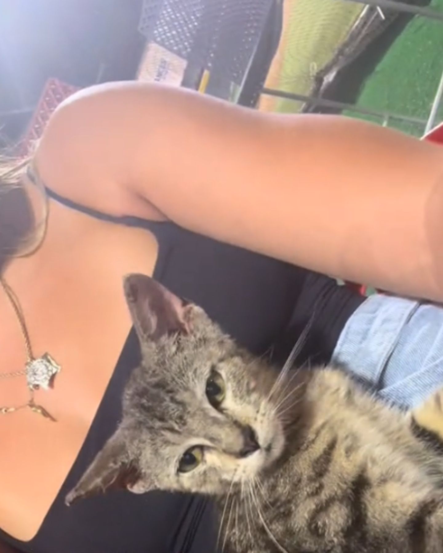 cute cat and woman