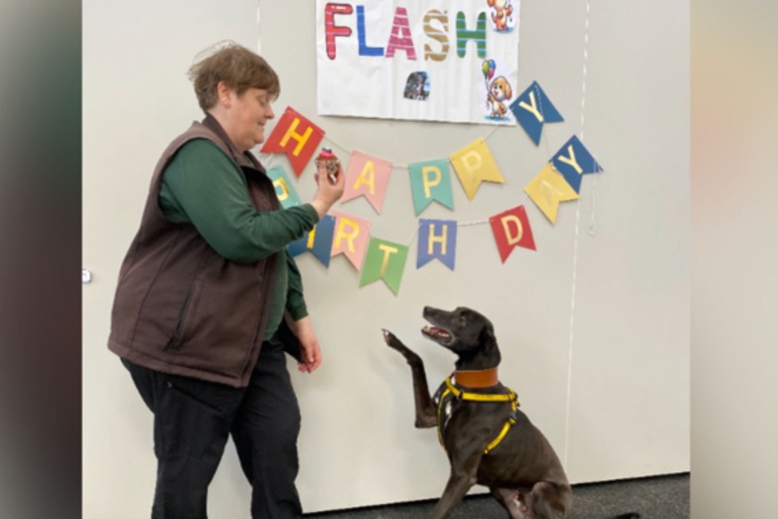 dog on birthday party