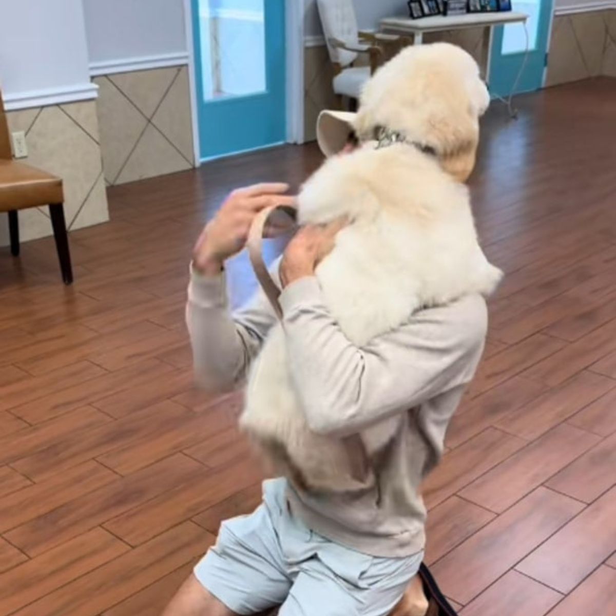 happy dog and owner