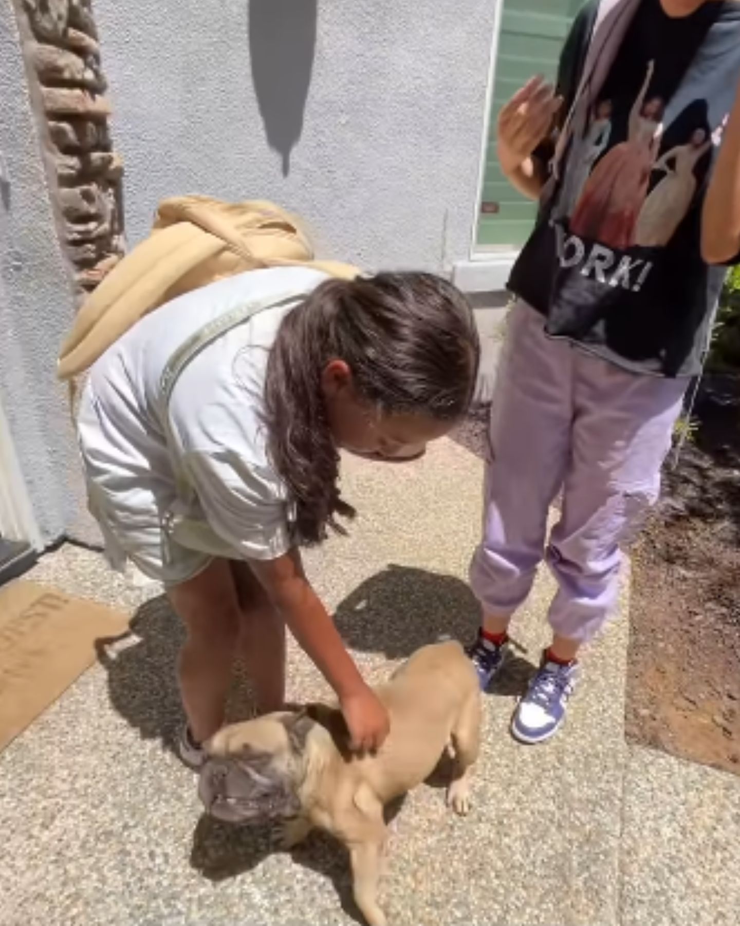 kid and dog