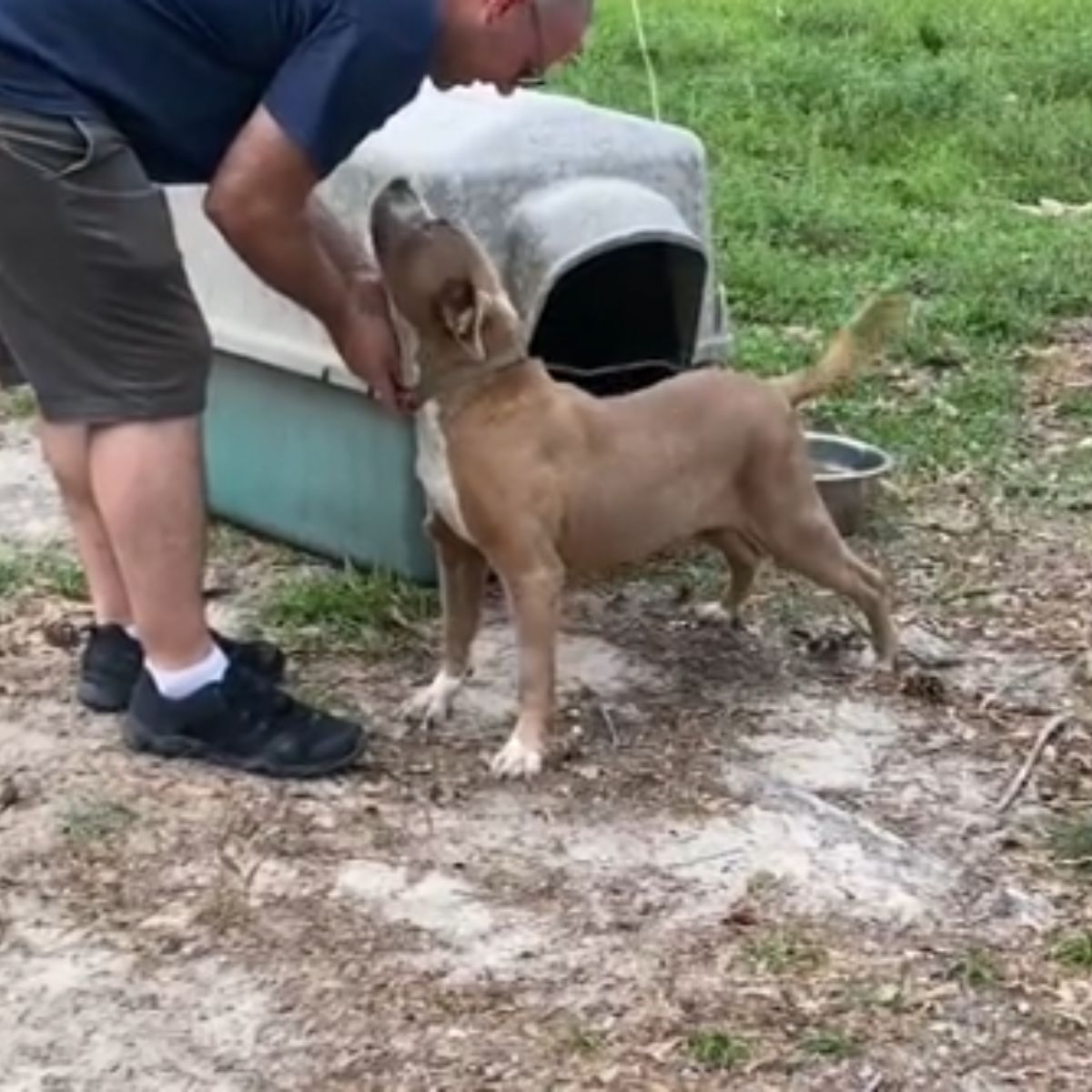 man and abandoned dog