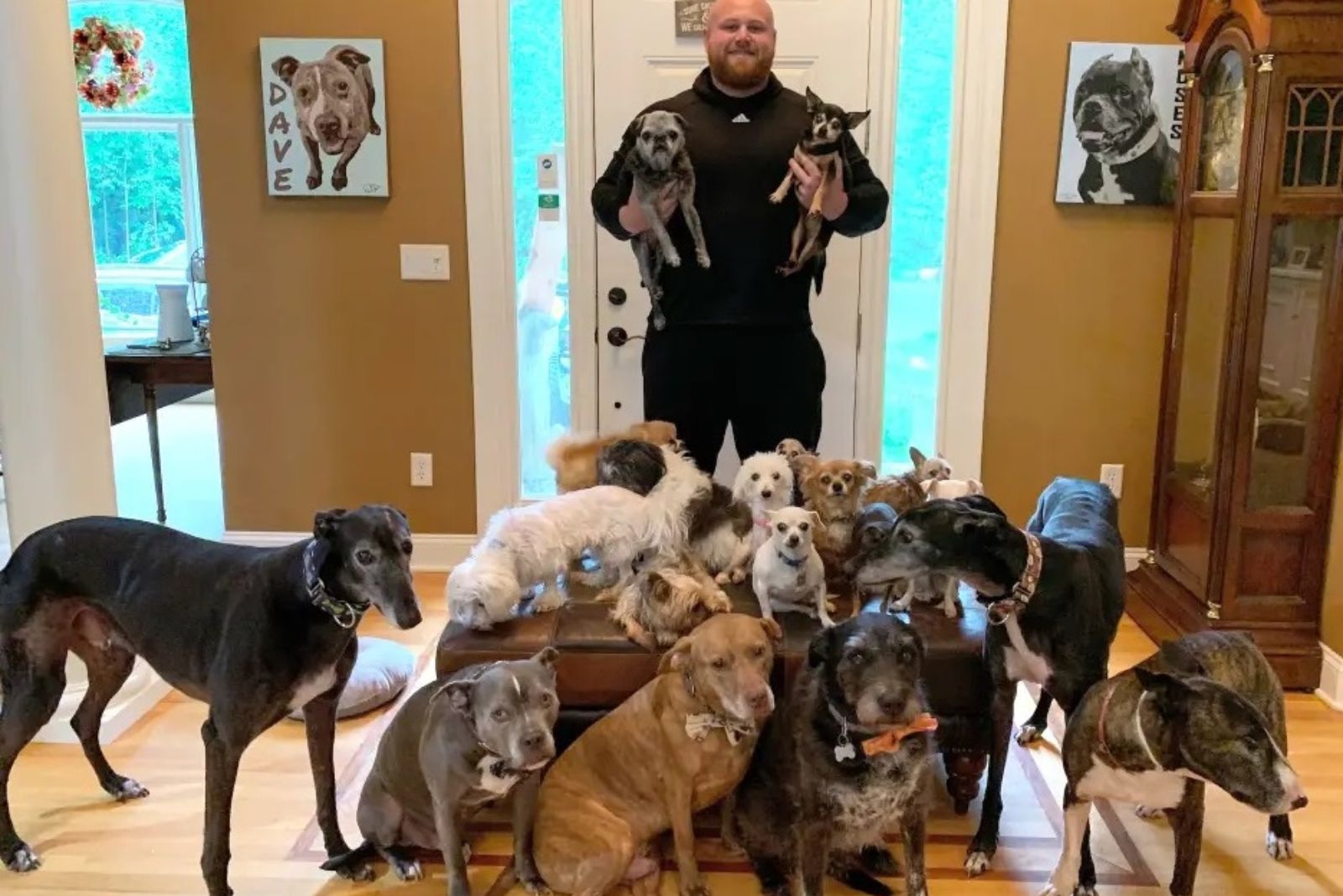 man and many dogs
