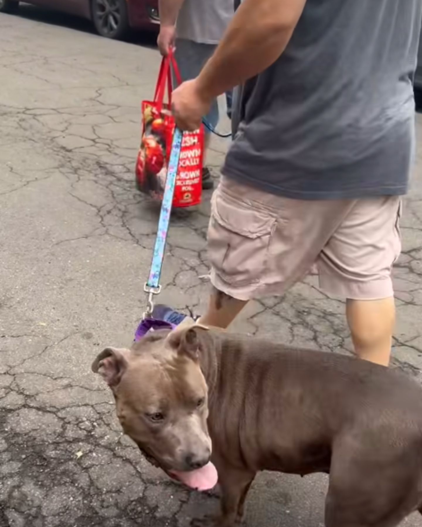 man walking a dog