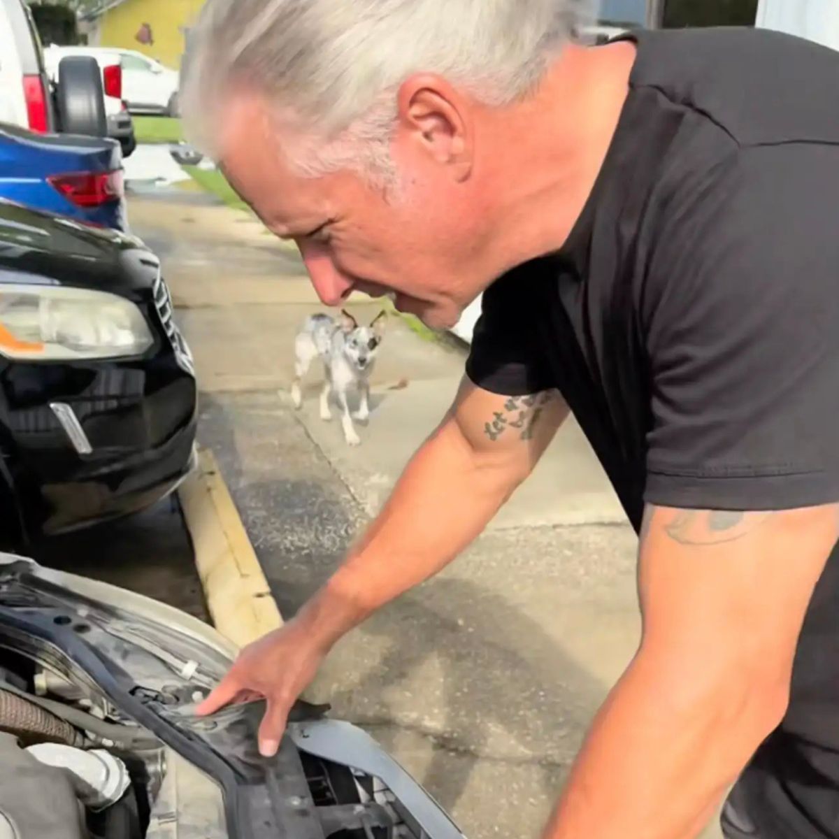 mechanic checking a car