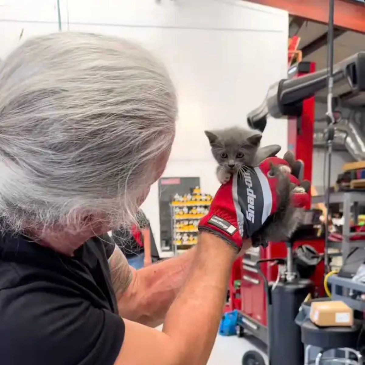 mechanic holding a kitten