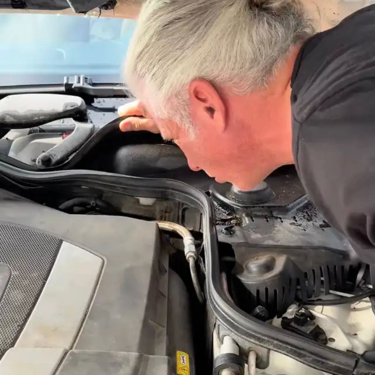 mechanic looking for cat