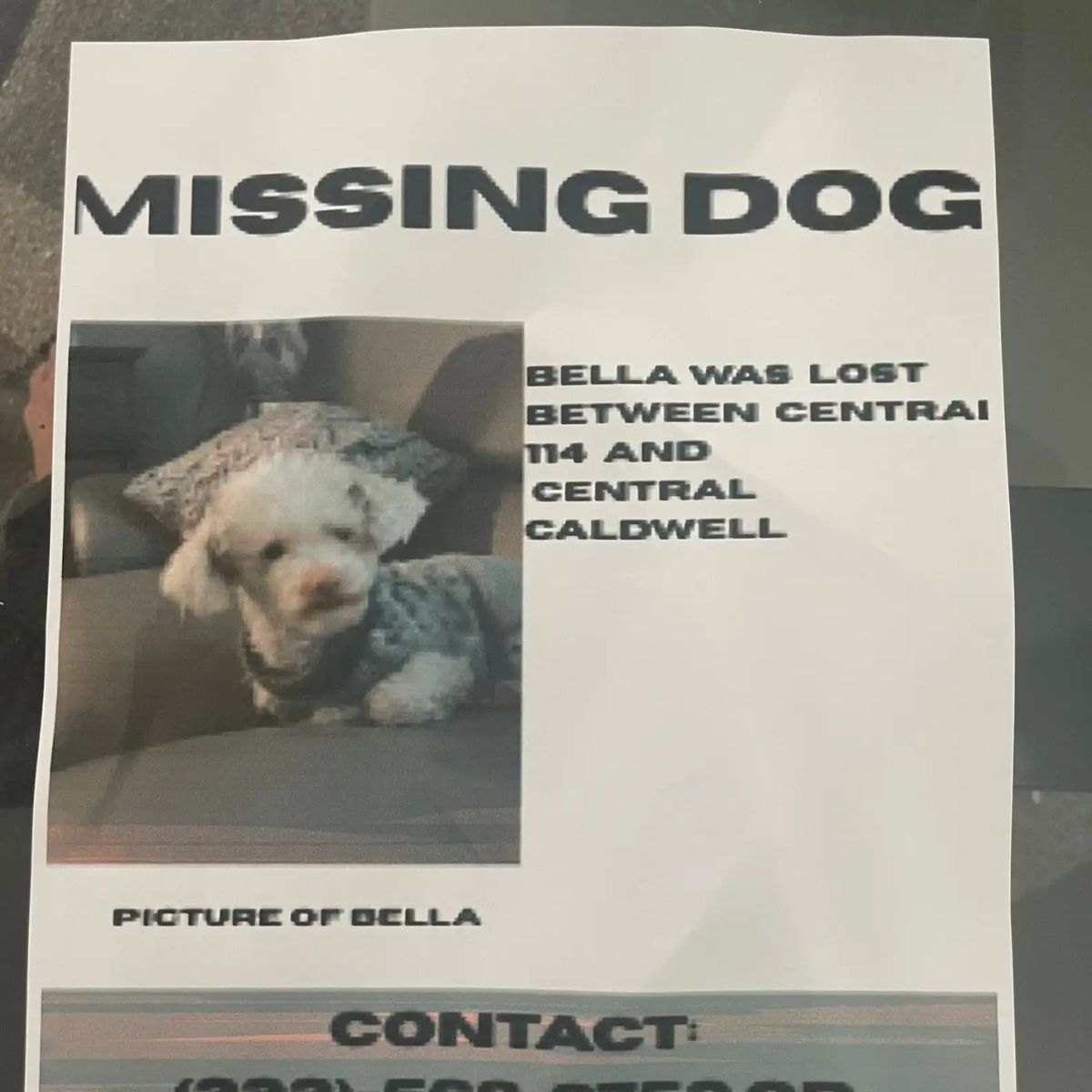 missing poster