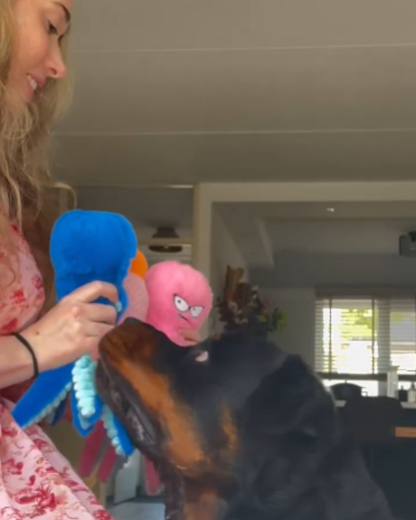owner and Rottweiler