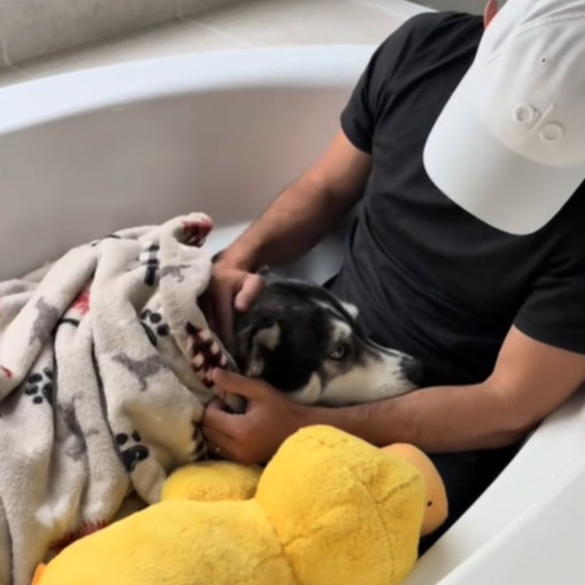 owner and husky