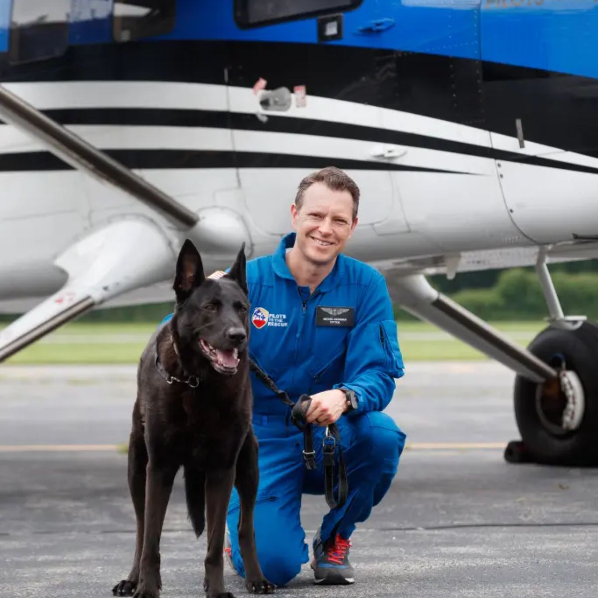pilot and black dog