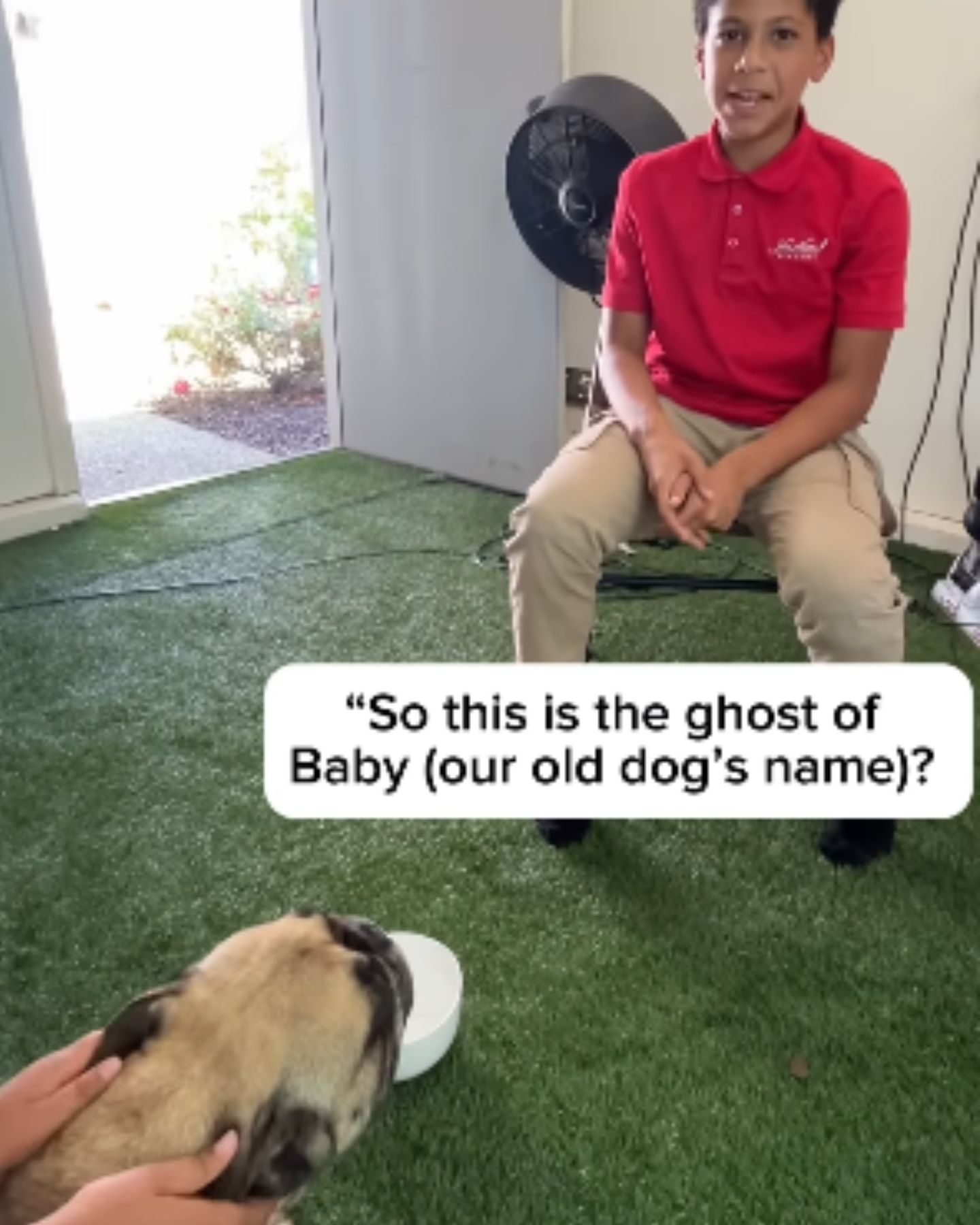 sweet dog and kid