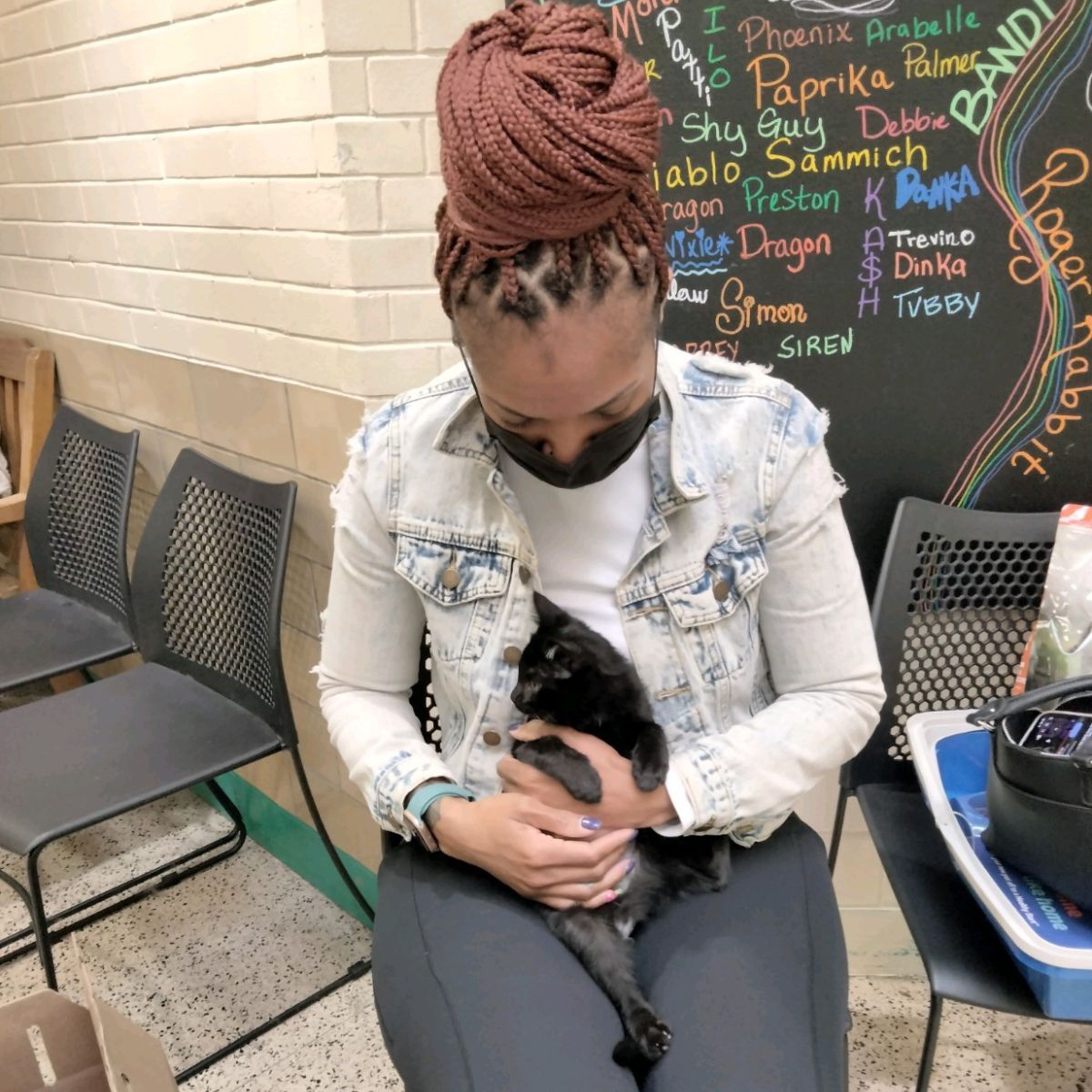 woman and adorable kitten