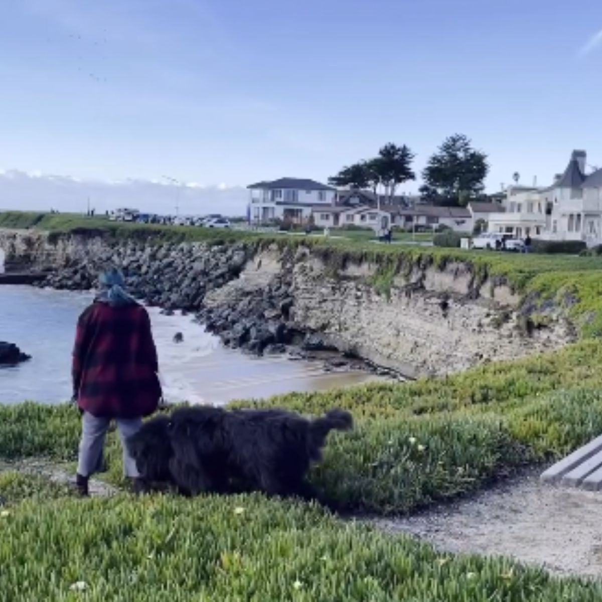 woman and big dog