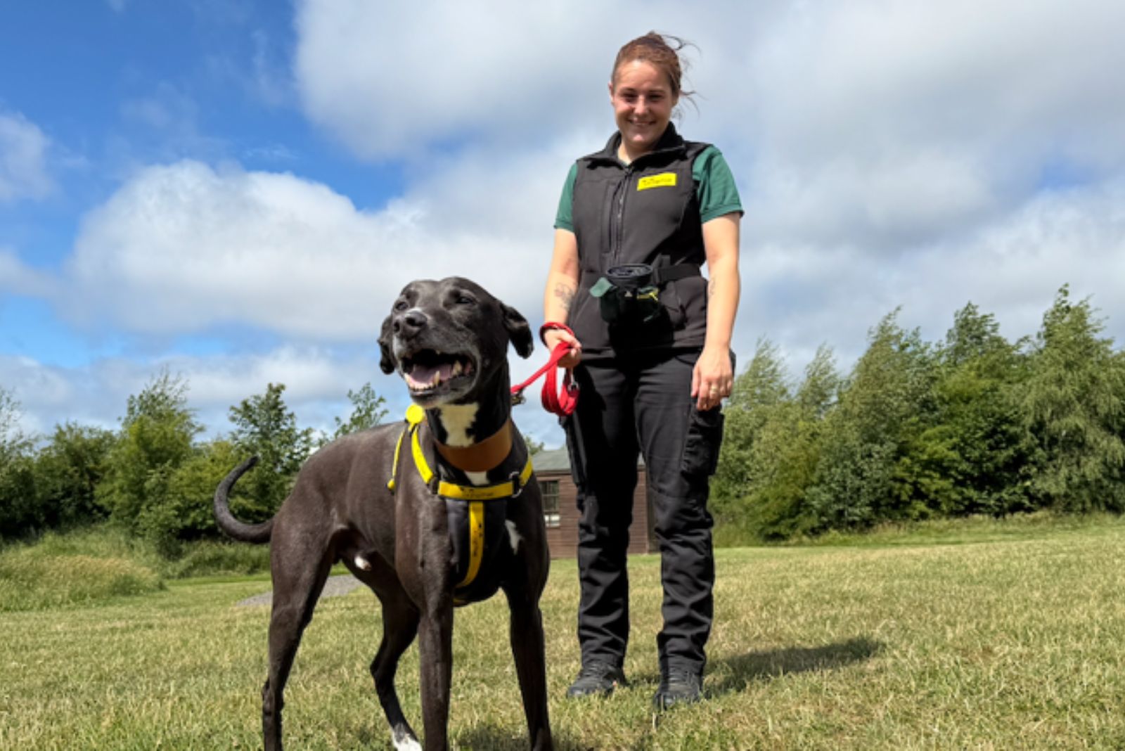 woman and black dog