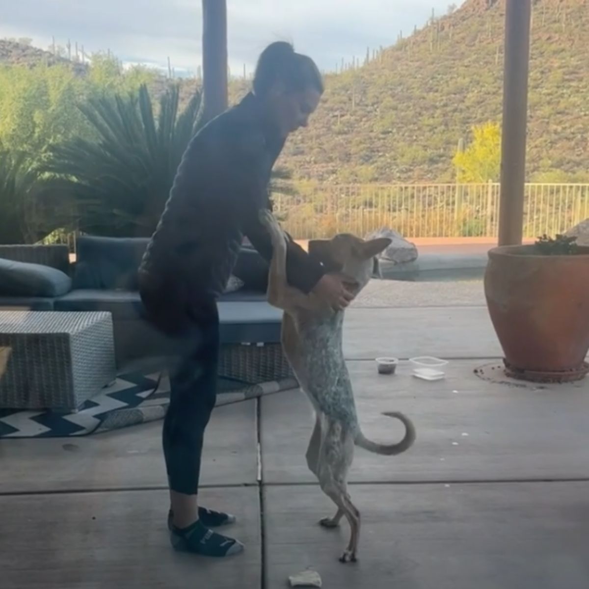 woman and coyote