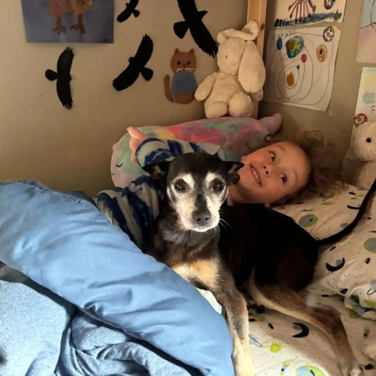 woman and dog in bed