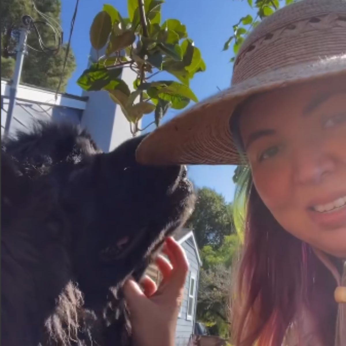 woman and giant dog