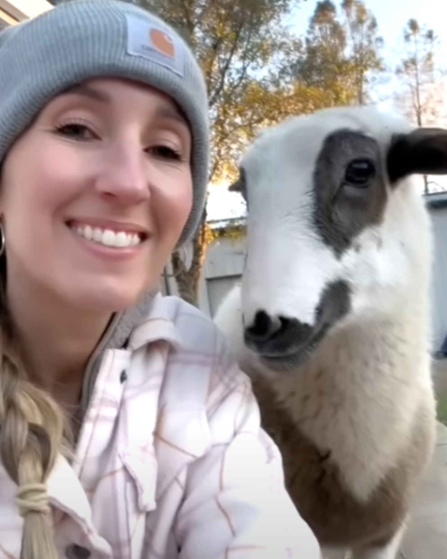 woman and lamb