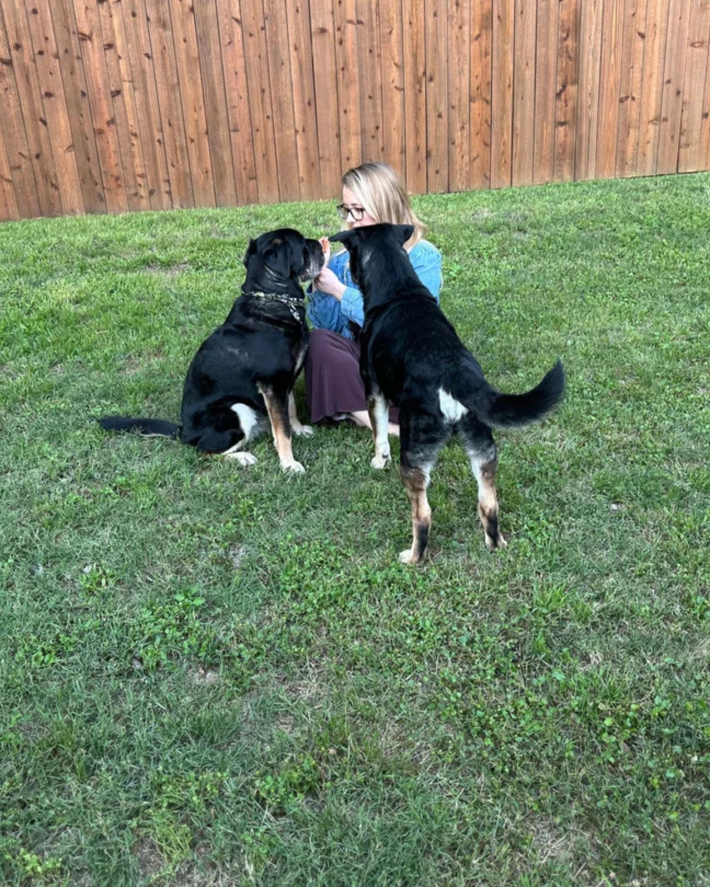 woman and two dogs