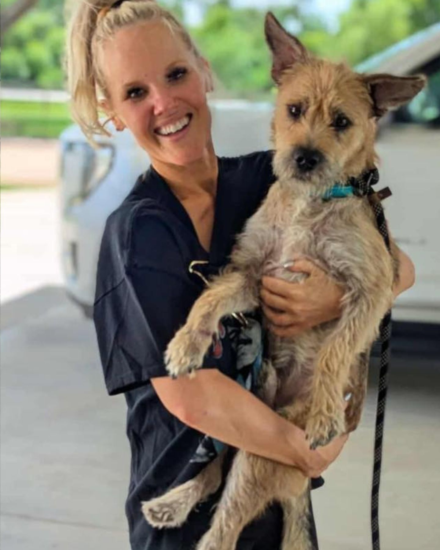 woman holding a dog