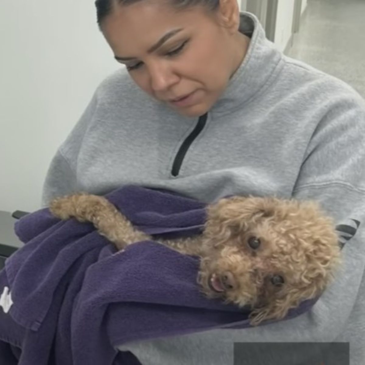 woman holding a dog