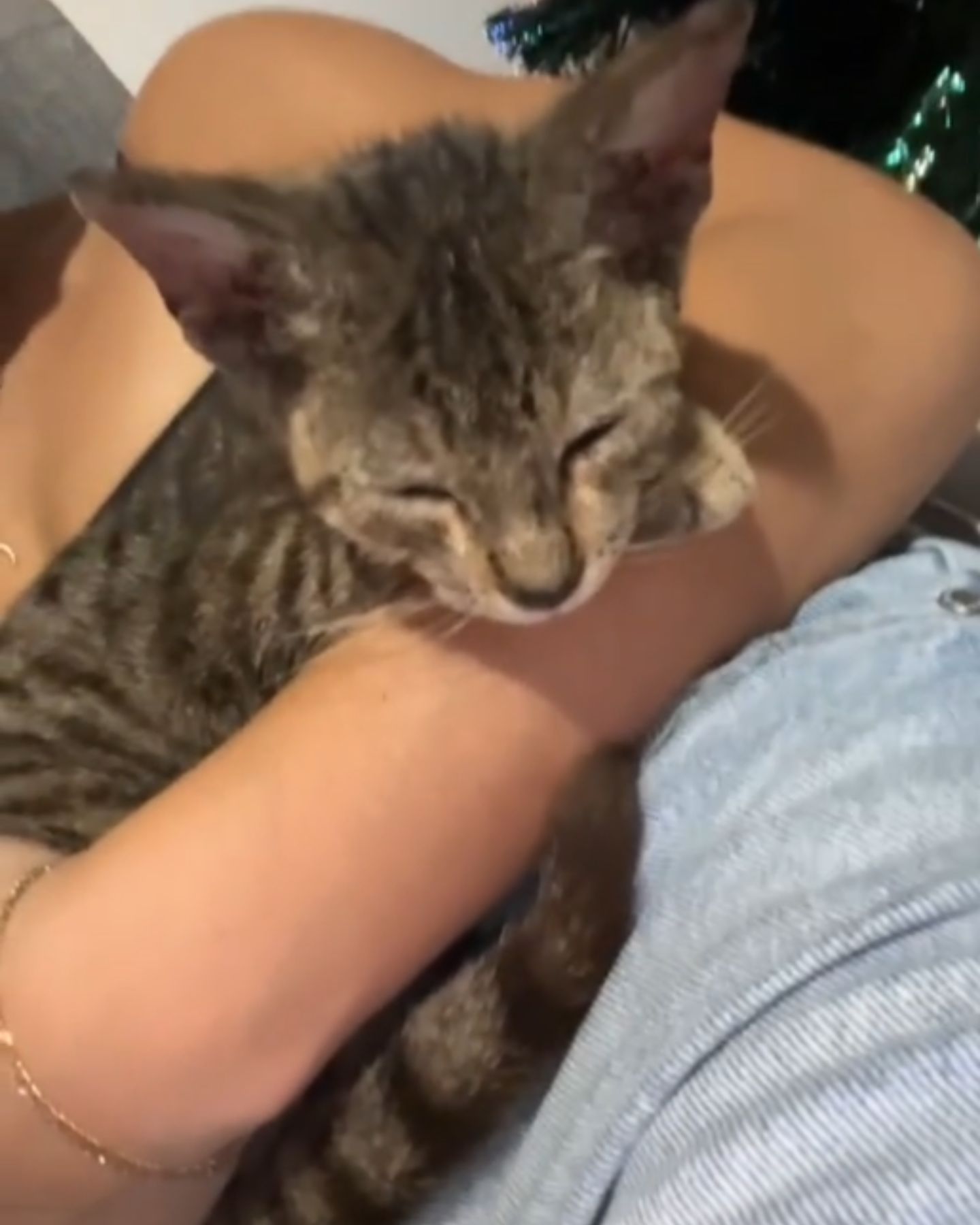 woman holding a stray cat