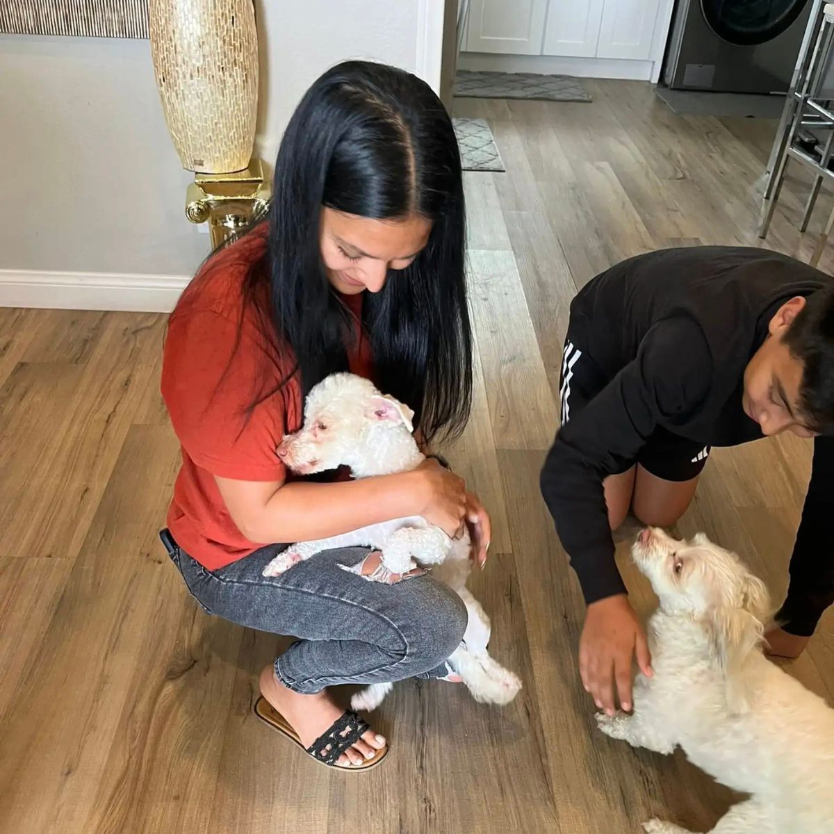 woman hugging a dog