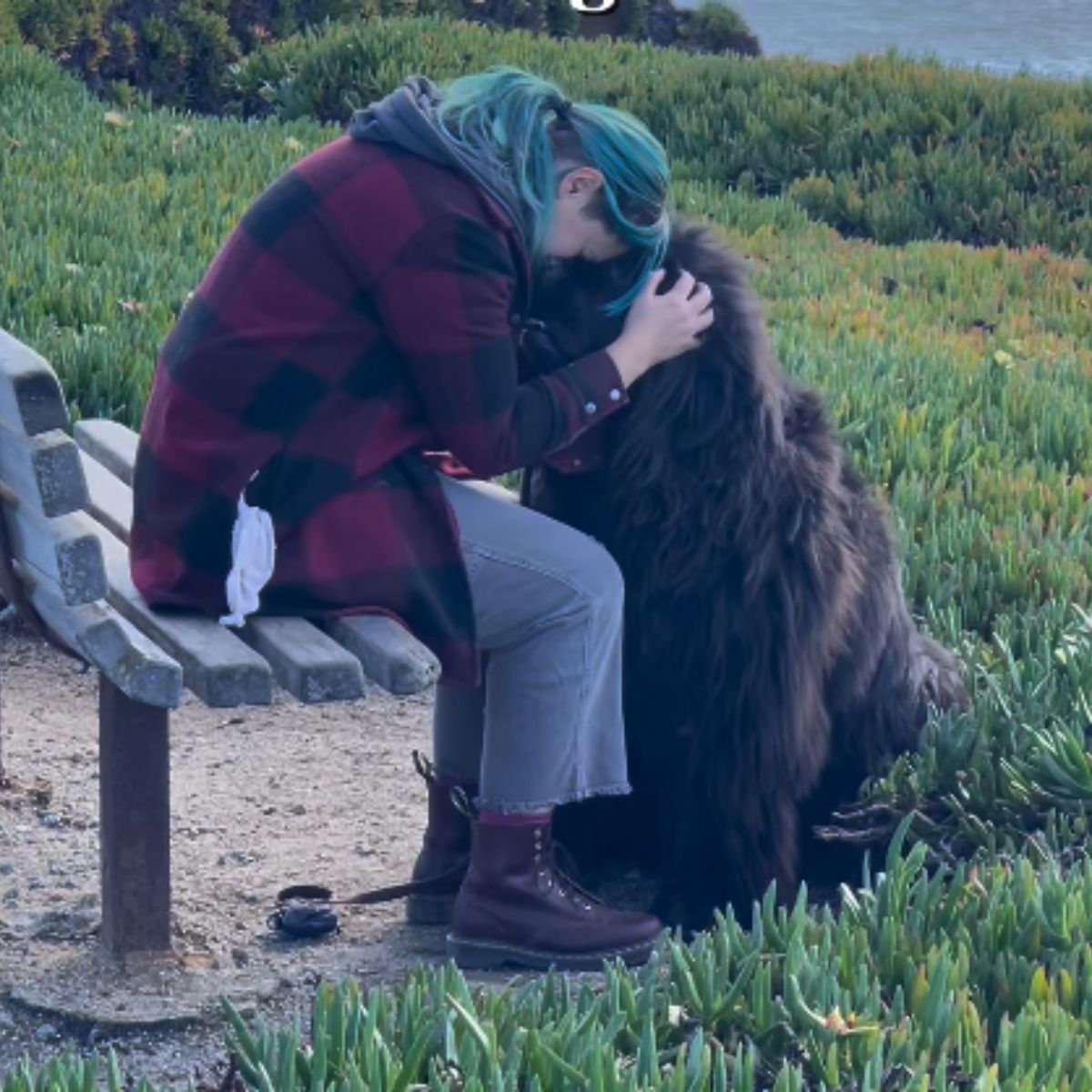 woman hugging big dog